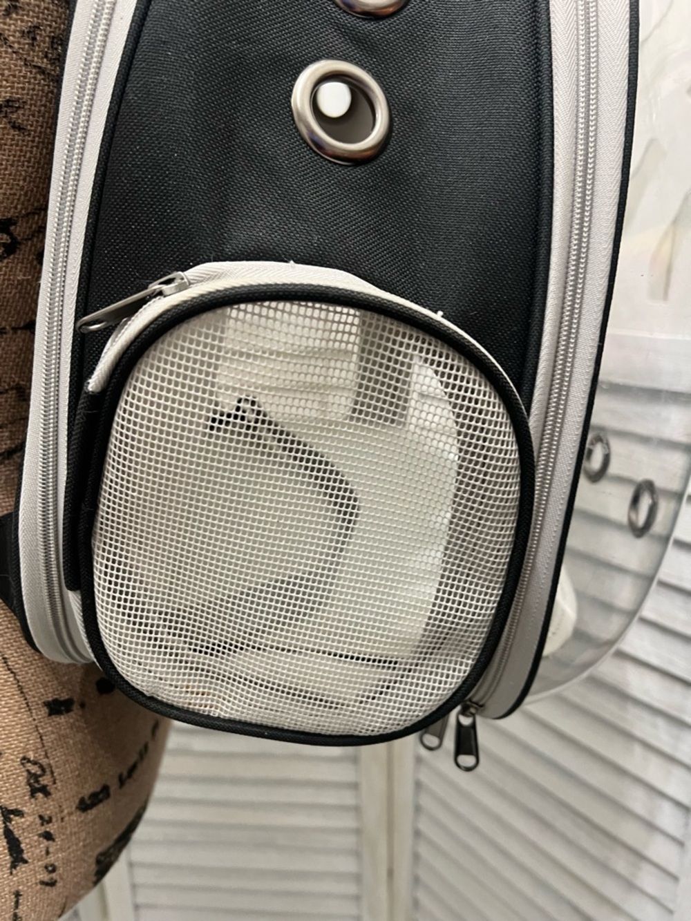 Expandable Cat Backpack Carrier - Picture 9 of 14